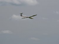 IMGP2048  -->