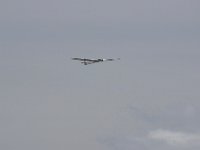 IMGP2069  -->