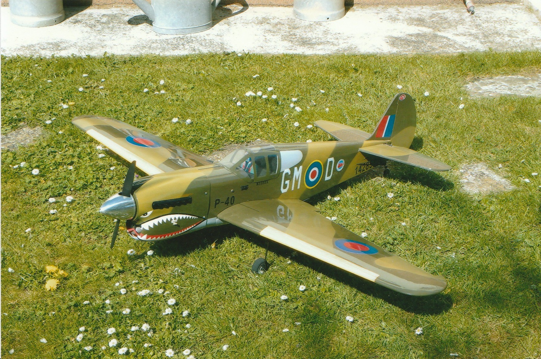 P40 Warhawk